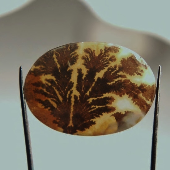 Fine Quality Scenic Dendritic Agate India 23 x 12 mm  Litnon.com