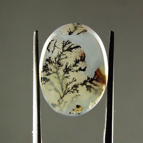  Rare and Fine Quality Scenic Dendritic Agate  Litnon.com