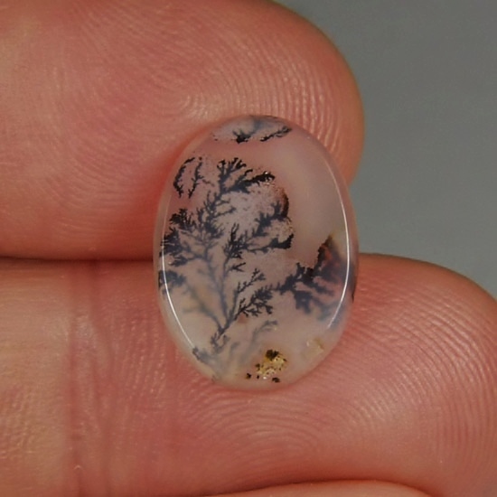  Rare and Fine Quality Scenic Dendritic Agate  Litnon.com
