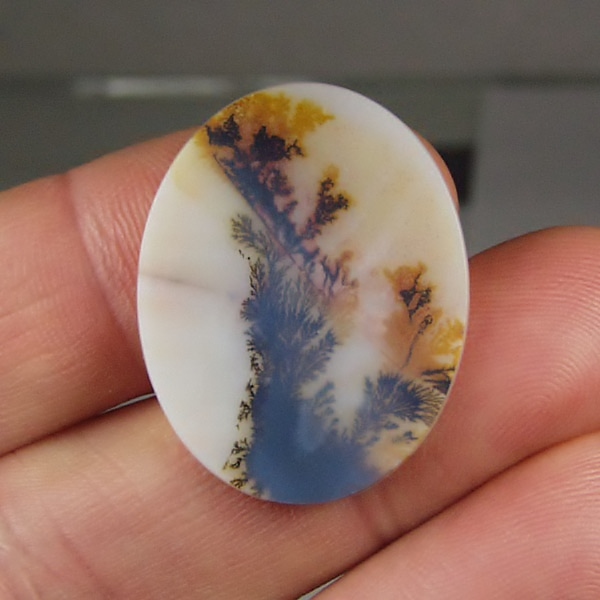 Big and Rare Fine Quality Scenic Dendritic Agate India Litnon.com