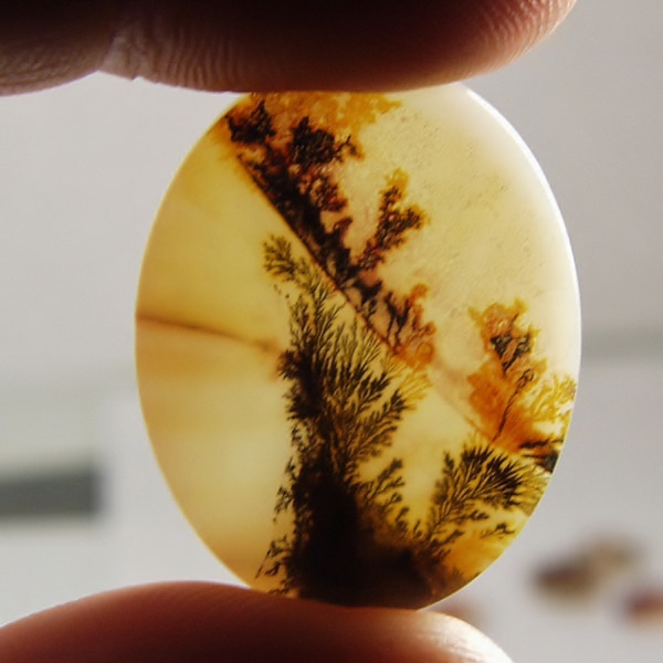 Big and Rare Fine Quality Scenic Dendritic Agate India Litnon.com
