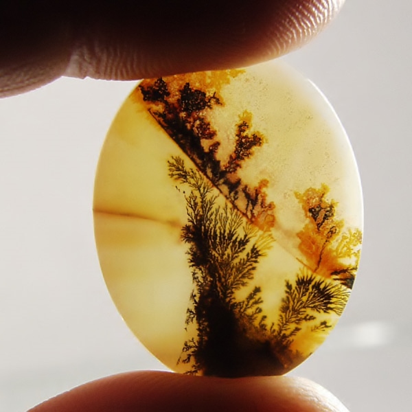 Big and Rare Fine Quality Scenic Dendritic Agate India Litnon.com