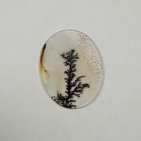  Rare and Fine Quality Scenic Dendritic Agate  Litnon.com