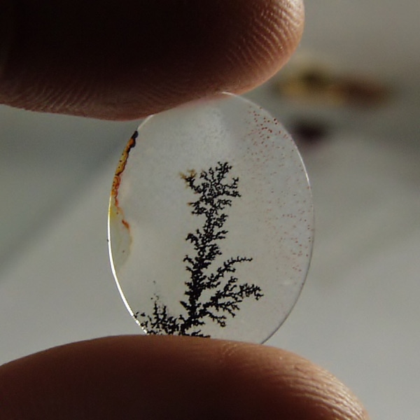  Rare and Fine Quality Scenic Dendritic Agate  Litnon.com