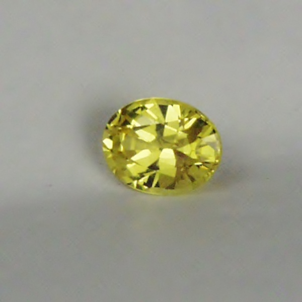 $55.00 Quality Color and Cut Bright Yellow Montana Sapphire  Litnon.com