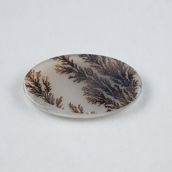  All Natural Fine Quality Dendritic Agate India  Litnon.com