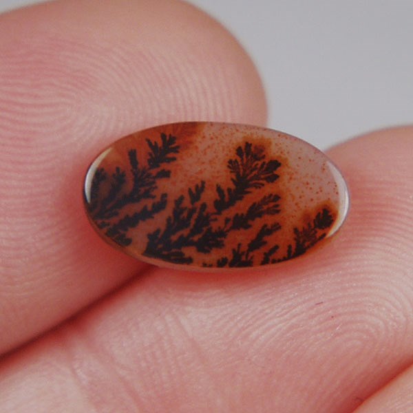  All Natural Fine Quality Dendritic Agate India  Litnon.com