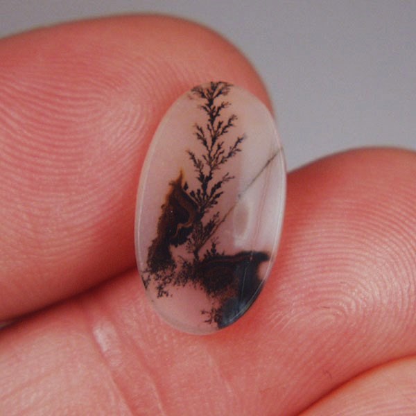  All Natural Fine Quality Dendritic Agate India Litnon.com