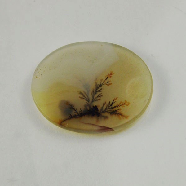  All Natural Fine Quality Dendritic Agate India Litnon.com