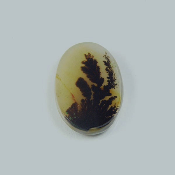  All Natural Fine Quality Dendritic Agate India  Litnon.com
