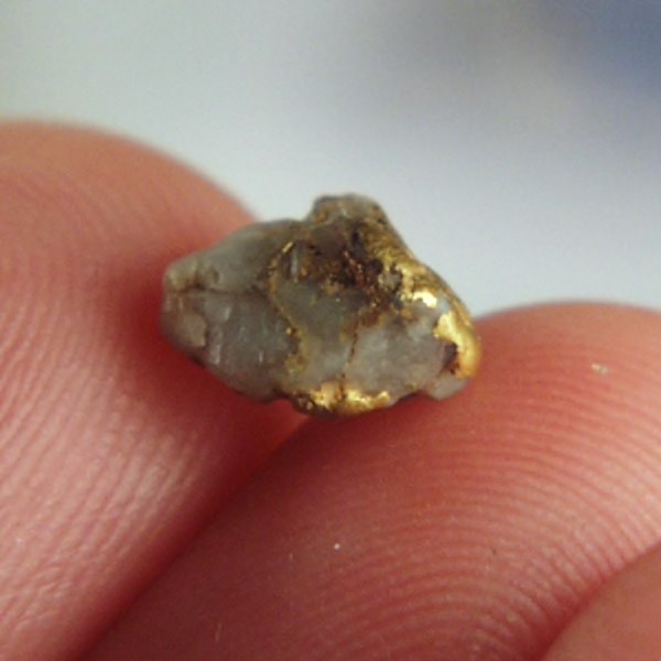 Gold In Quartz Specimen Montana USA  Litnon.com