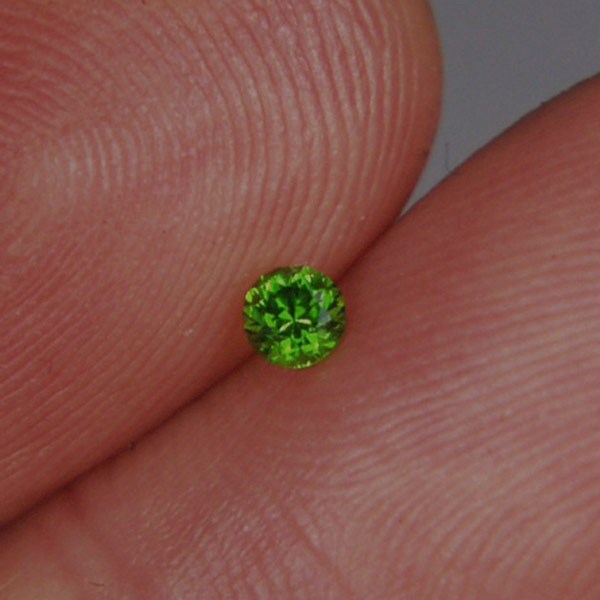 Tiny Treasure Brilliant Chrome Green Russian Demantoid Garnet  Litnon.com