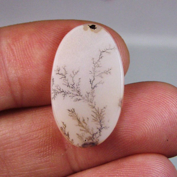  All Natural Fine Quality Dendritic Agate India Litnon.com