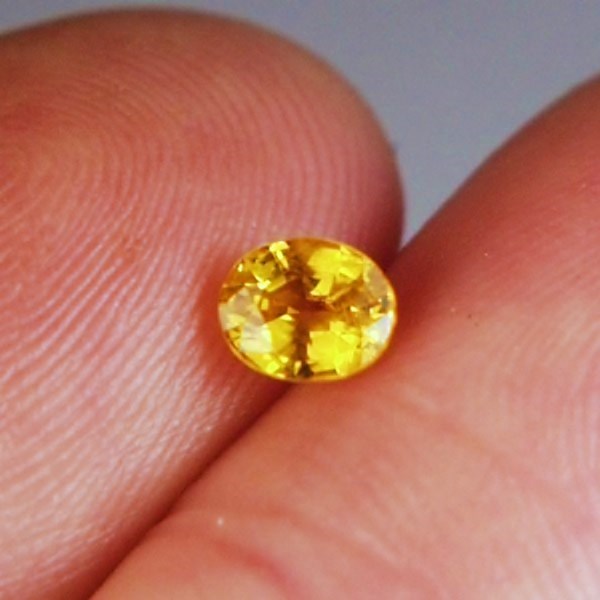 $35.00 Rich Golden Yellow Natural Sapphire Sri Lanka  Litnon.com