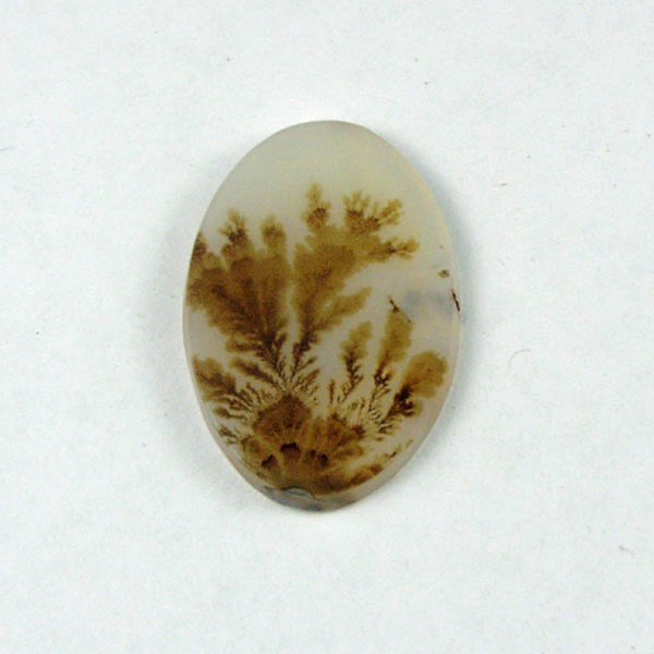  All Natural Fine Quality Dendritic Agate India  Litnon.com