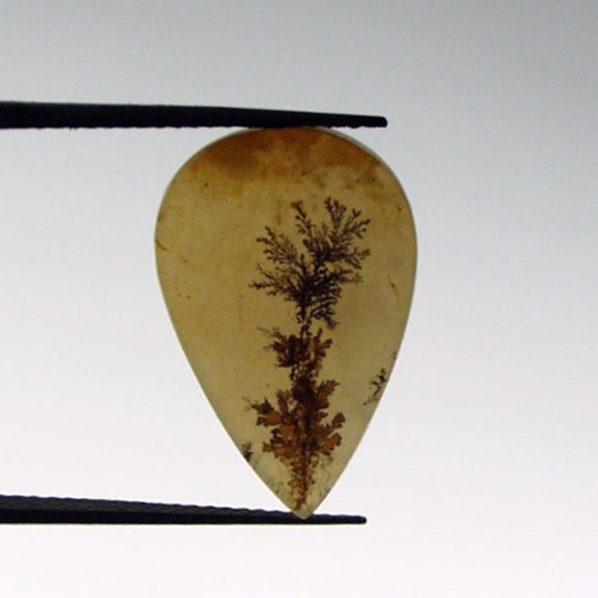 All Natural Fine Quality Dendritic Agate India  Litnon.com