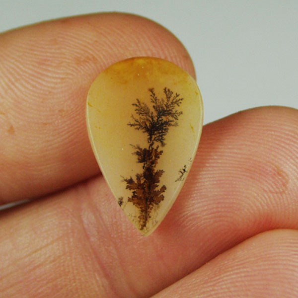 All Natural Fine Quality Dendritic Agate India  Litnon.com