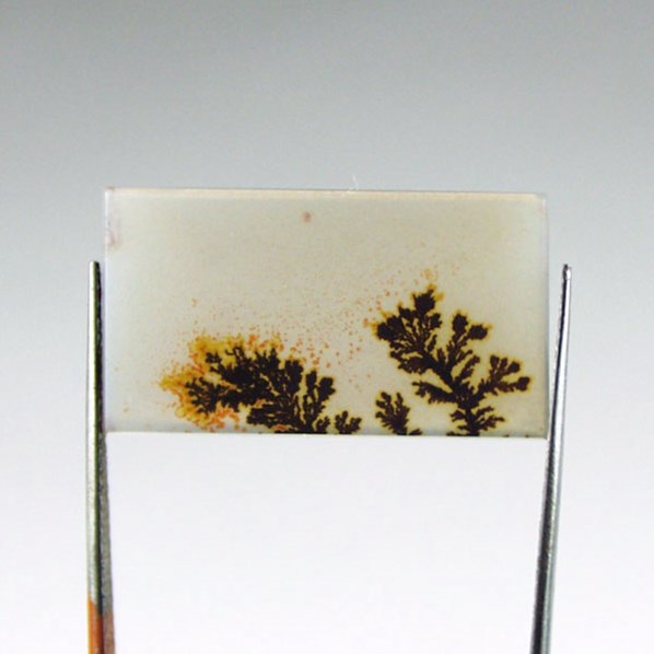 All Natural Fine Quality Dendritic Agate India  Litnon.com