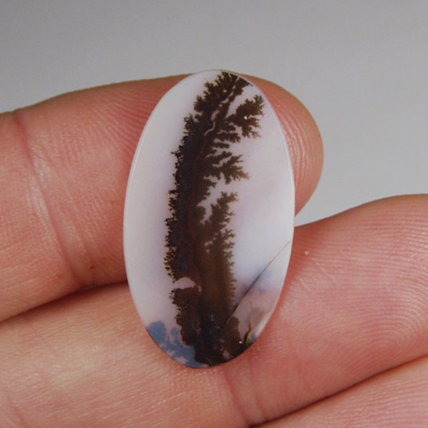 All Natural Fine Quality Dendritic Agate India  Litnon.com