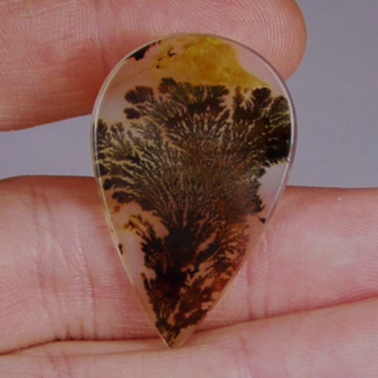  All Natural Fine Quality Dendritic Agate India  Litnon.com