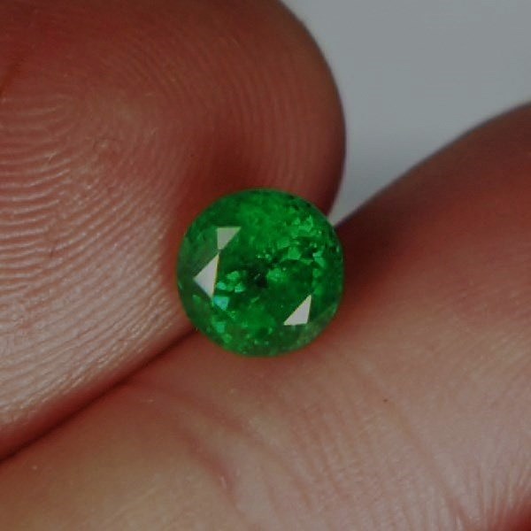 Chrome Green Included Tsavorite Green Garnet Kenya 1.60 ct  Litnon.com