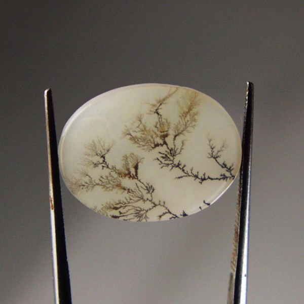  All Natural Fine Quality Dendritic Agate India 21 x 15 mm  Litnon.com