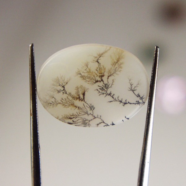  All Natural Fine Quality Dendritic Agate India 21 x 15 mm  Litnon.com