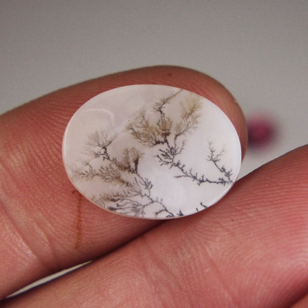  All Natural Fine Quality Dendritic Agate India 21 x 15 mm  Litnon.com