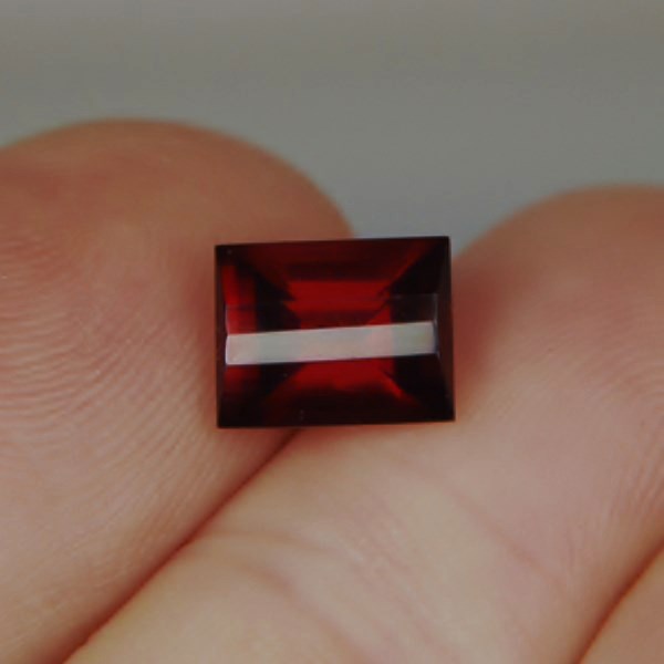Fancy Cut Red Fire Umba River Garnet 3.20 ct  Litnon.com