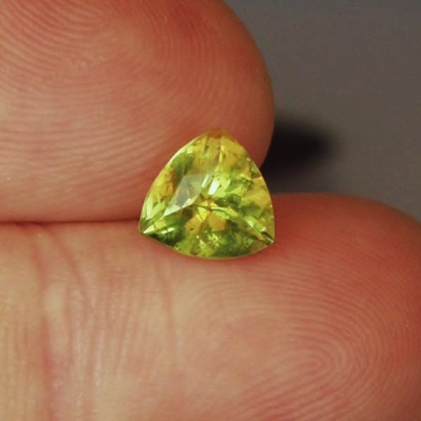 Rare Collectors Color Shift Vesuvianite - Idocrase 1.81ct  Litnon.com