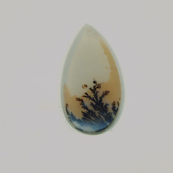  All Natural Fine Quality Dendritic Agate India  Litnon.com