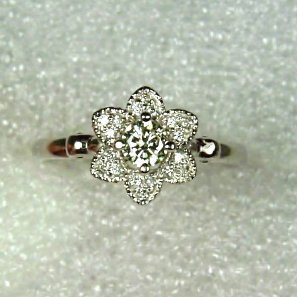  Diamond 14 kt White Gold Ring  Litnon.com