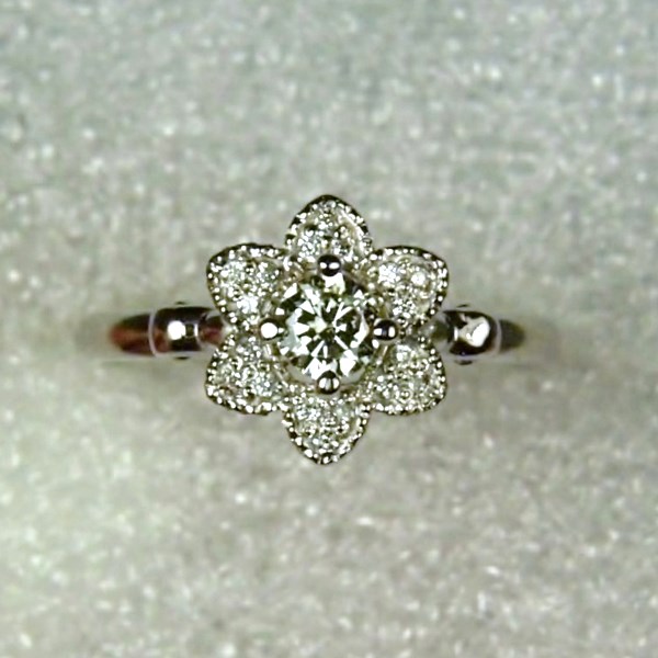  Diamond 14 kt White Gold Ring  Litnon.com