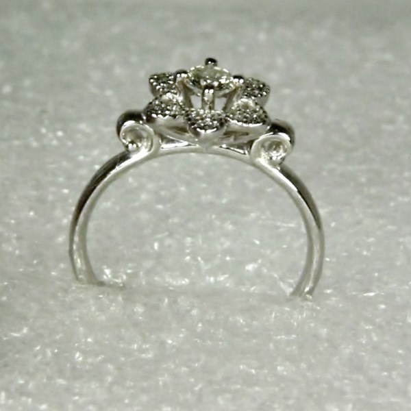  Diamond 14 kt White Gold Ring  Litnon.com