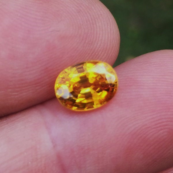 Fine Color Rich Golden Yellow Sapphire Sri Lanka 2.47 ct  Litnon.com