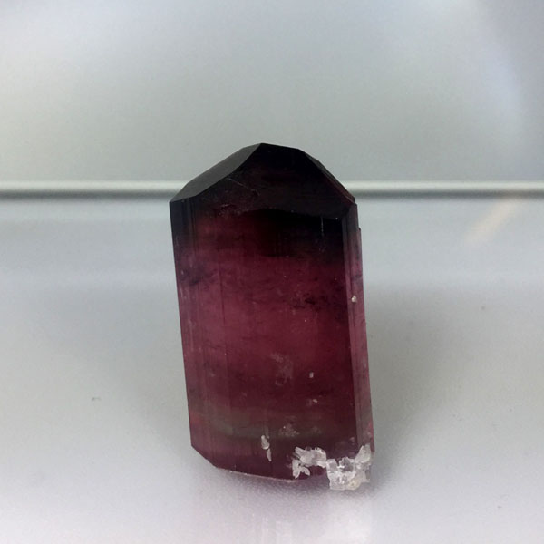 Collectors Tourmaline Crystal With Leopoldite Afghanistan GL Litnon.com