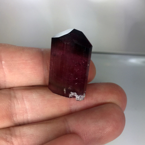 Collectors Tourmaline Crystal With Leopoldite Afghanistan GL Litnon.com