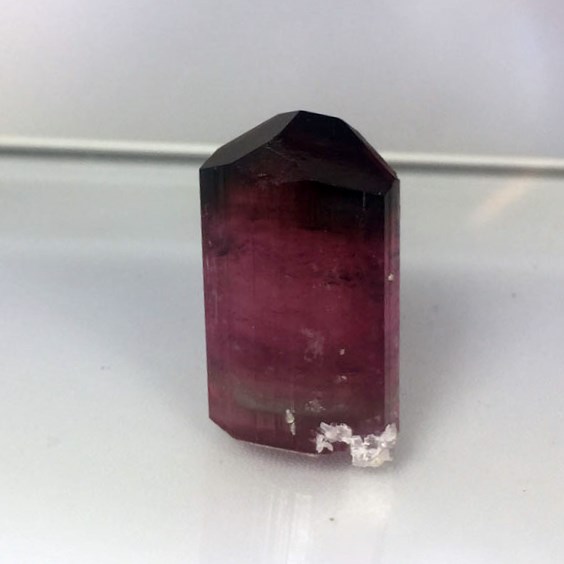 Collectors Tourmaline Crystal With Leopoldite Afghanistan GL Litnon.com