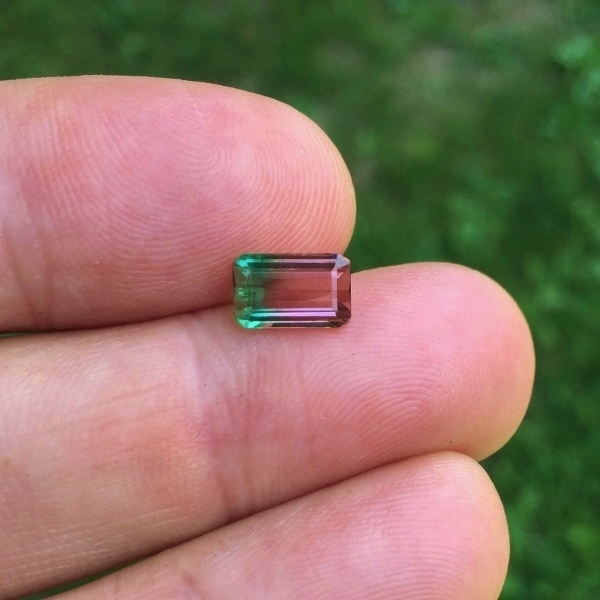 Collectors Bi-Color Tourmaline Brazil 1.42 ct GL Litnon.com