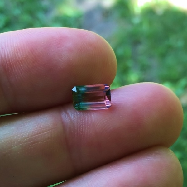 Collectors Bi-Color Tourmaline Brazil 1.42 ct GL Litnon.com