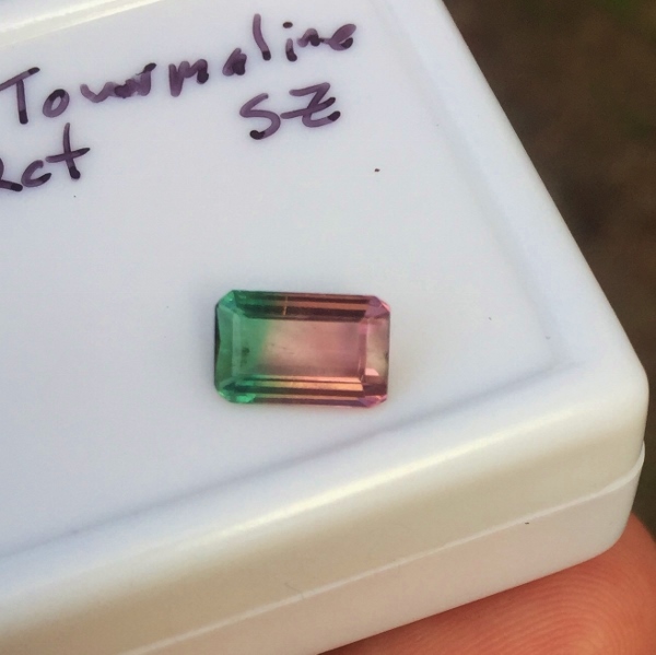 Collectors Bi-Color Tourmaline Brazil 1.42 ct GL Litnon.com