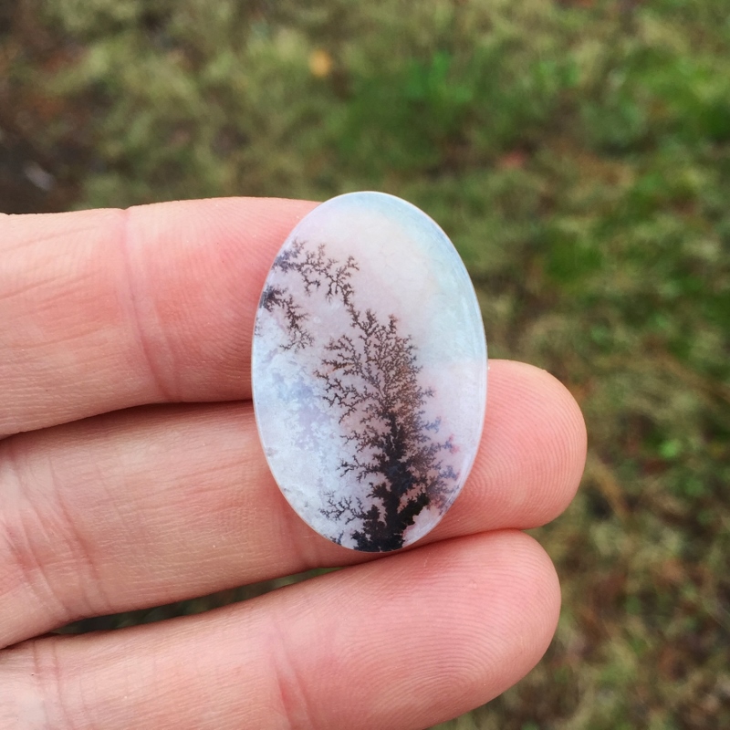  All Natural Fine Quality Dendritic Agate India  Litnon.com