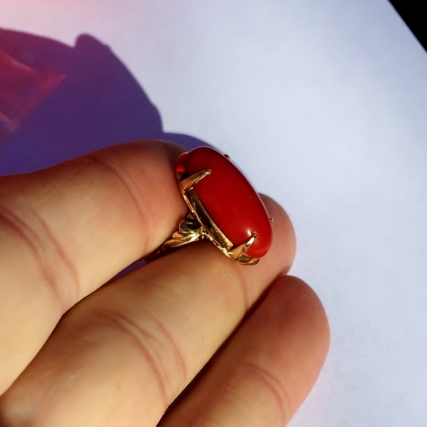 Antique Victorian Sardinian Ox Blood Coral 18kt Gold Ring  Litnon.com