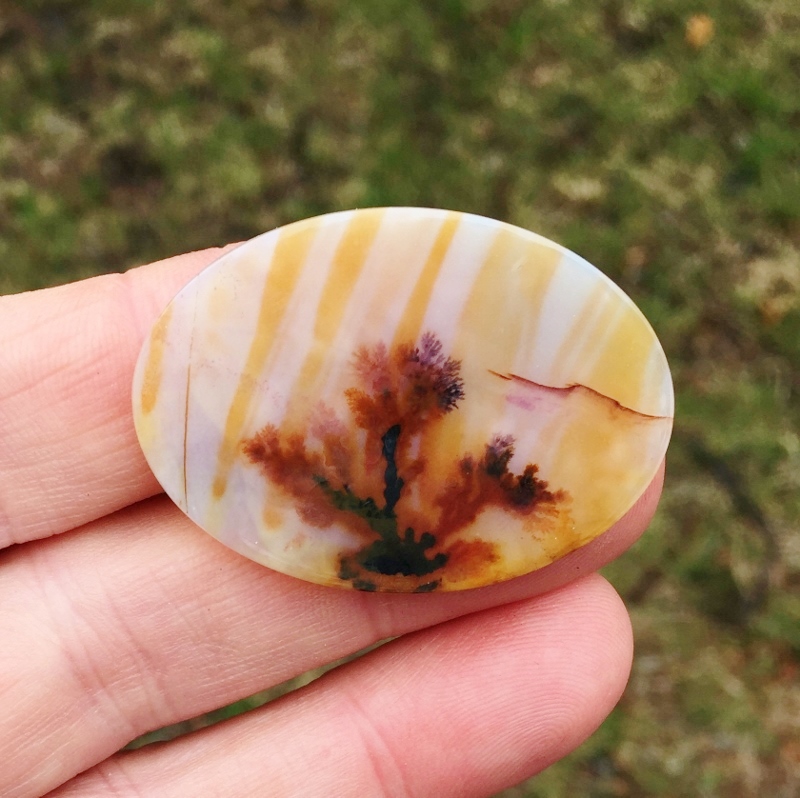 All Natural Extra Fine Quality Dendritic Agate India  Litnon.com
