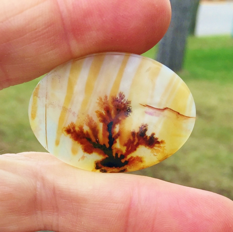 All Natural Extra Fine Quality Dendritic Agate India  Litnon.com