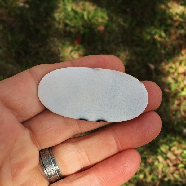 All Natural Fine Quality Dendritic Agate India Litnon.com