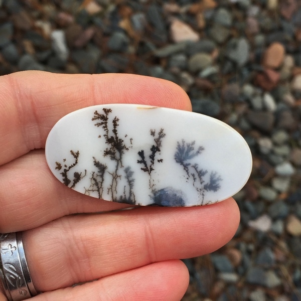 All Natural Fine Quality Dendritic Agate India Litnon.com