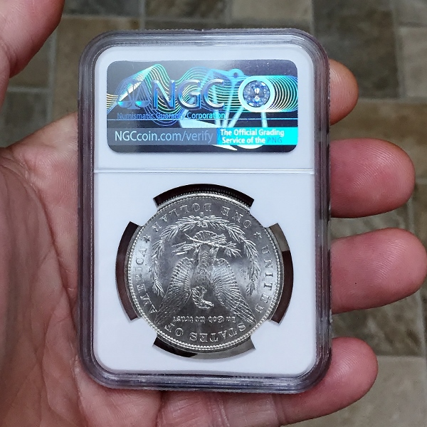  1881 S Morgan Dollar MS 64 Litnon.com