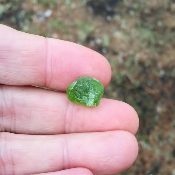  Fine Color and Clean Peridot Facet Rough Arizona 12.99 ct  Litnon.com