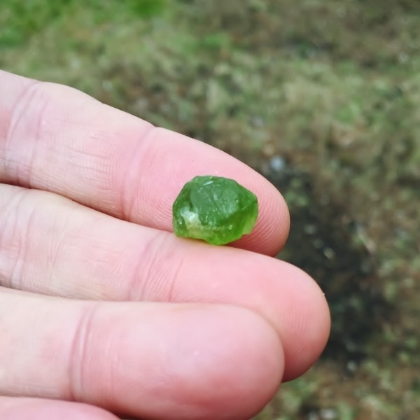  Fine Color and Clean Peridot Facet Rough Arizona 12.99 ct  Litnon.com